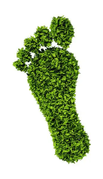 CO2 Footprint CO2 Footprint
